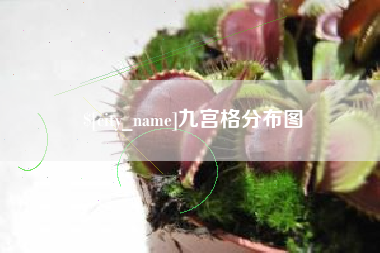 昭通九宫格分布图