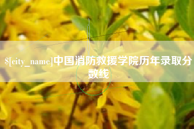 昭通中国消防救援学院历年录取分数线