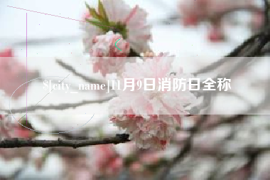 昭通11月9日消防日全称