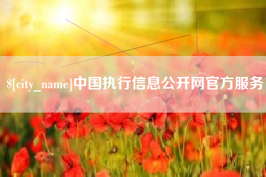 昭通中国执行信息公开网官方服务