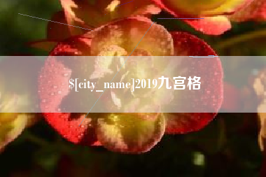 昭通2019九宫格