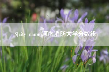 昭通河南消防大学分数线
