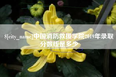 昭通中国消防救援学院2019年录取分数线是多少