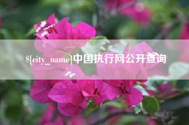 昭通中国执行网公开查询