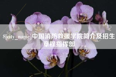 昭通中国消防救援学院简介及招生章程指挥部