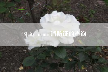 昭通消防证的查询
