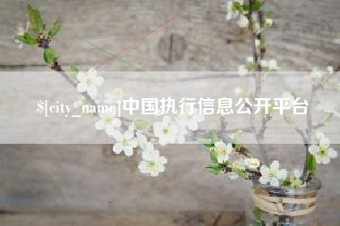 昭通中国执行信息公开平台