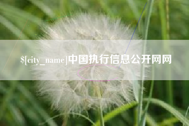 昭通中国执行信息公开网网