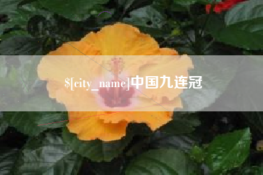 昭通中国九连冠