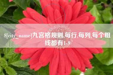 昭通九宫格规则,每行,每列,每个粗线都有1-9