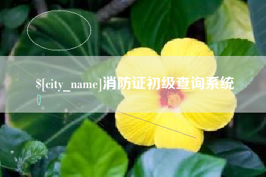 昭通消防证初级查询系统