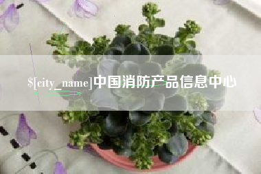 昭通中国消防产品信息中心