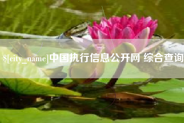 昭通中国执行信息公开网 综合查询