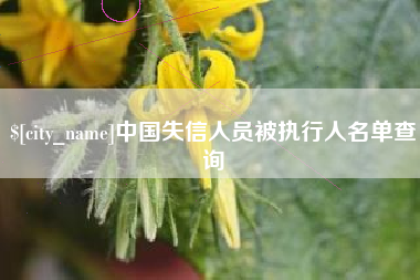 昭通中国失信人员被执行人名单查询