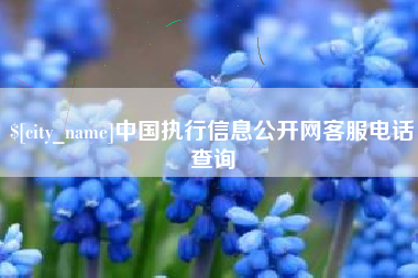 昭通中国执行信息公开网客服电话查询