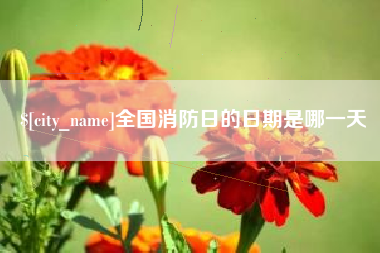 昭通全国消防日的日期是哪一天