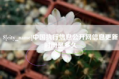 昭通中国执行信息公开网信息更新时间是多久