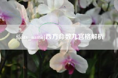 昭通西方命数九宫格解析