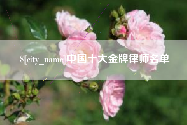 昭通中国十大金牌律师名单