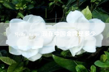 昭通现在中国金牌是多少