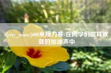 昭通600米接力赛-在同学们震耳欲聋的加油声中