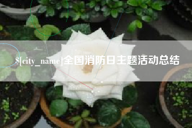 昭通全国消防日主题活动总结