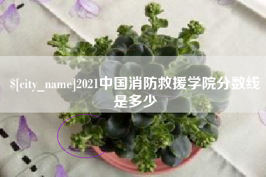 昭通2021中国消防救援学院分数线是多少
