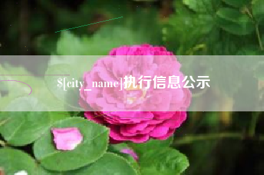 昭通执行信息公示