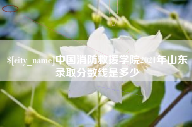昭通中国消防救援学院2021年山东录取分数线是多少