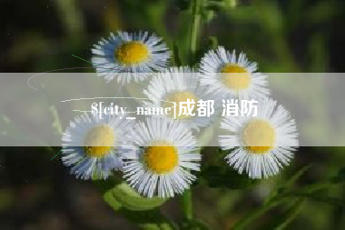昭通成都 消防