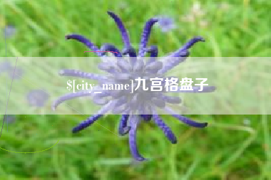 昭通九宫格盘子