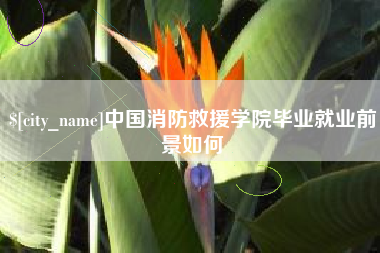 昭通中国消防救援学院毕业就业前景如何