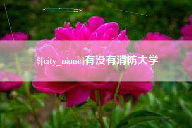 昭通有没有消防大学