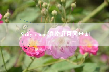 昭通消控证官网查询