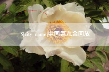 昭通中国第九金回放