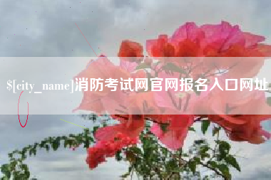 昭通消防考试网官网报名入口网址