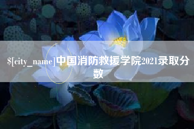 昭通中国消防救援学院2021录取分数