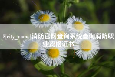 昭通消防官网查询系统查询消防职业资格证书