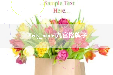 昭通九宫格牌子