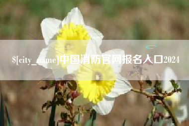 昭通中国消防官网报名入口2024