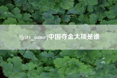 昭通中国夺金大项是谁