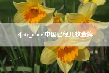 昭通中国已经几枚金牌
