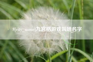 昭通九宫格游戏叫啥名字