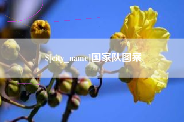 昭通国家队图案