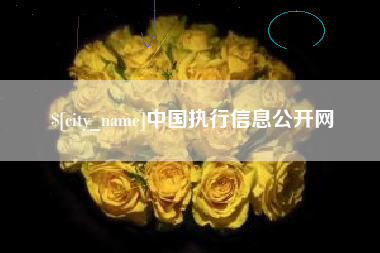 昭通中国执行信息公开网
