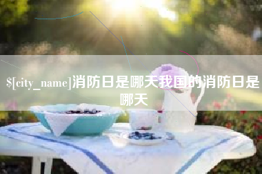 昭通消防日是哪天我国的消防日是哪天