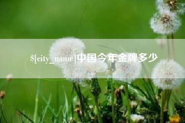 昭通中国今年金牌多少