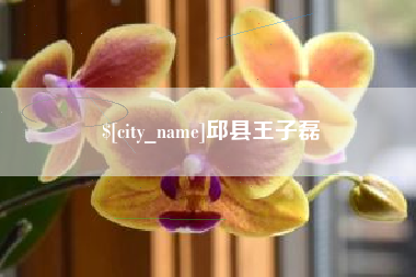 昭通邱县王子磊