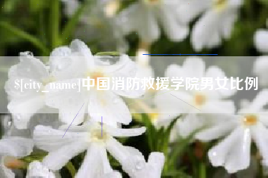 昭通中国消防救援学院男女比例