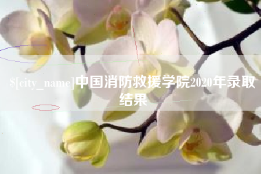 昭通中国消防救援学院2020年录取结果